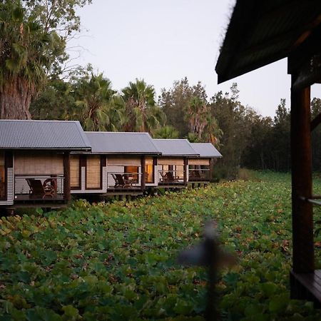 The Boathouses At Leaves & Fishes Lovedale Esterno foto