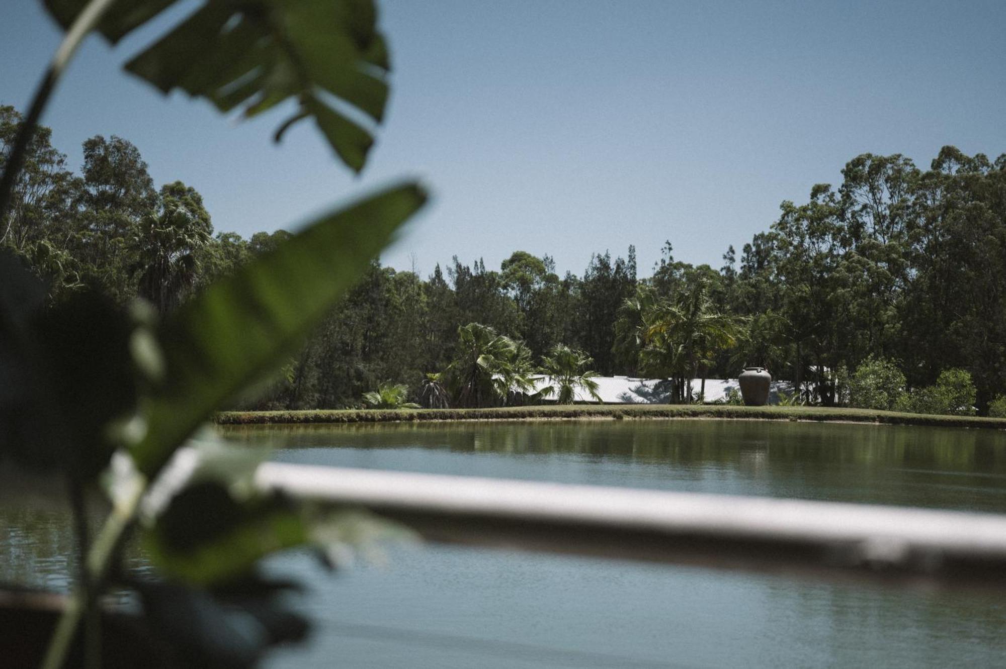 The Boathouses At Leaves & Fishes Lovedale Esterno foto