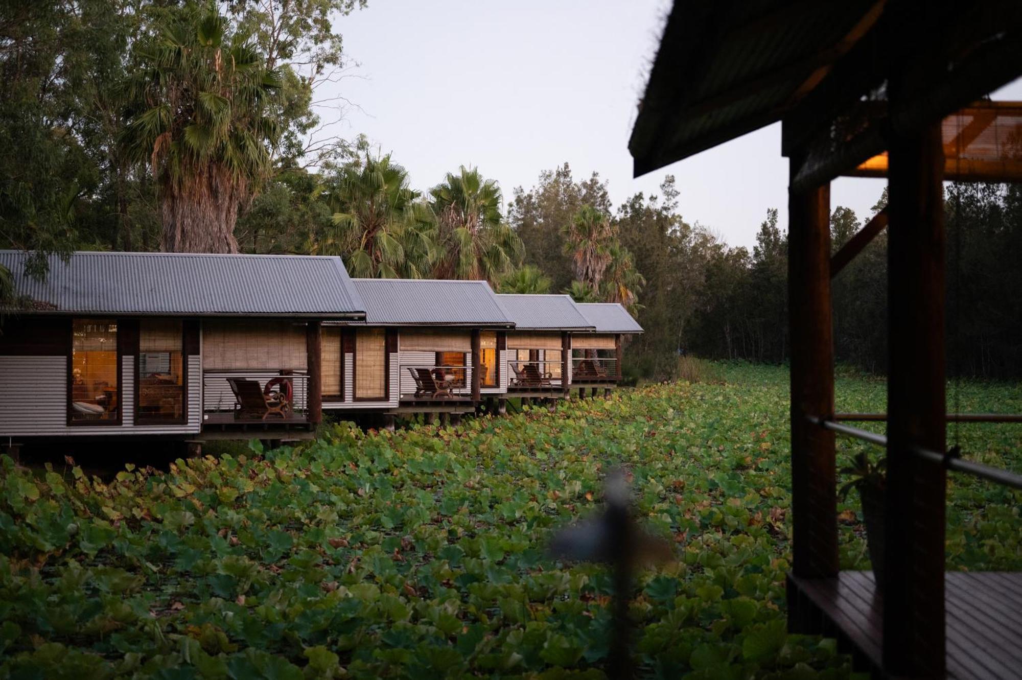 The Boathouses At Leaves & Fishes Lovedale Esterno foto
