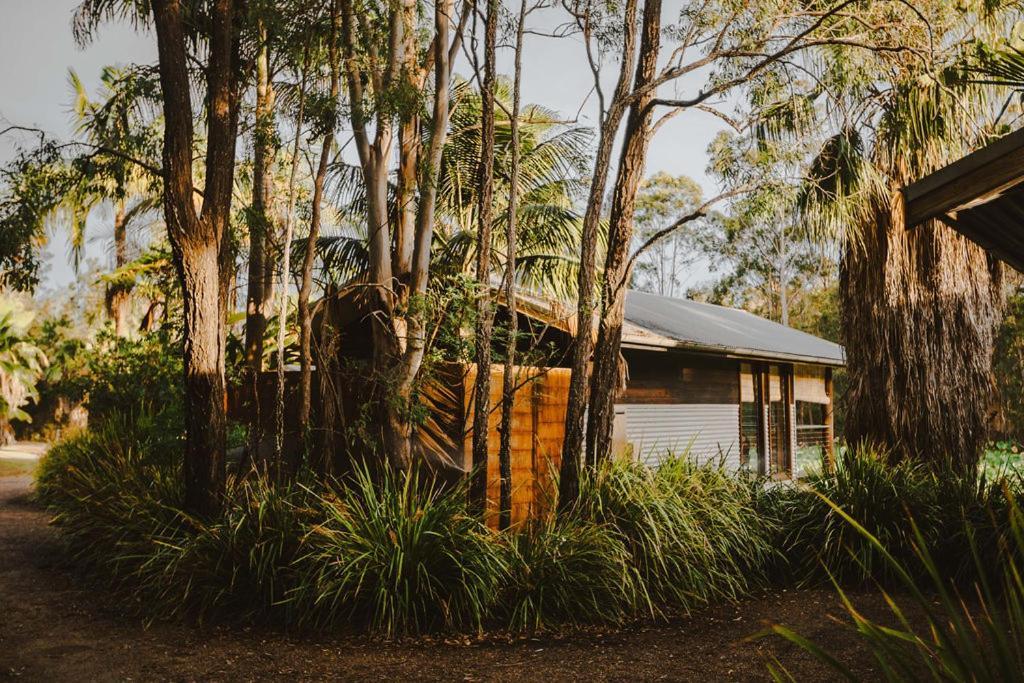 The Boathouses At Leaves & Fishes Lovedale Esterno foto
