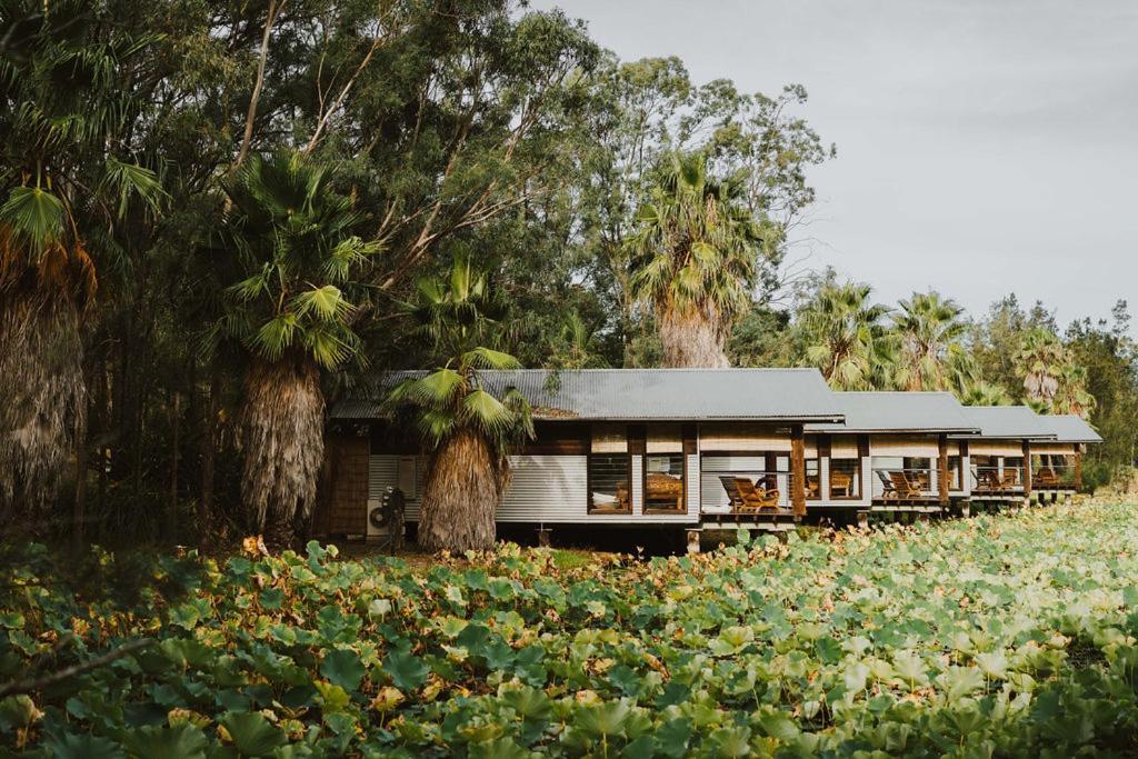 The Boathouses At Leaves & Fishes Lovedale Esterno foto
