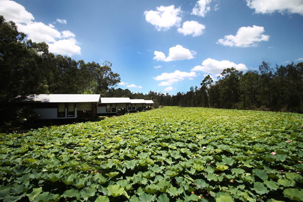 The Boathouses At Leaves & Fishes Lovedale Esterno foto